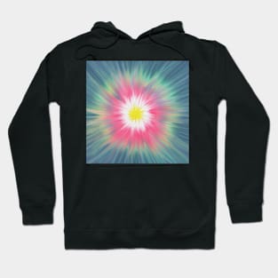 Shine Hoodie